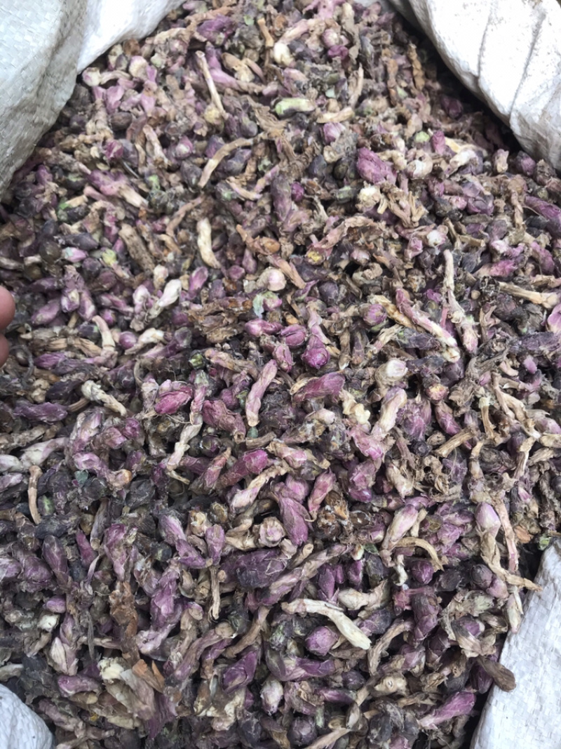 款冬花无硫无杂质优选款冬花产地直销