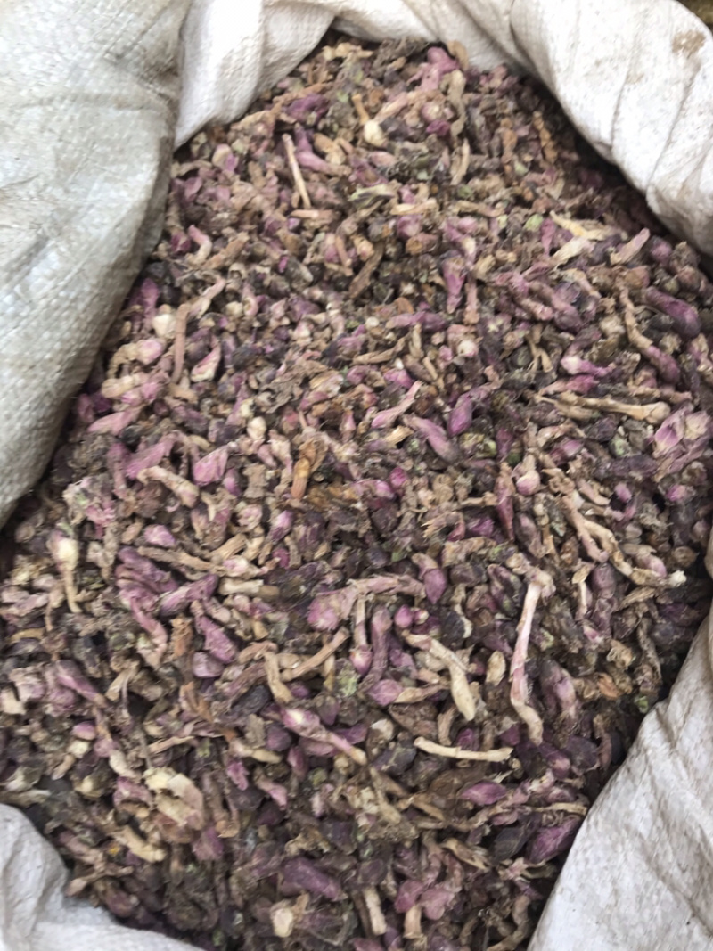 款冬花无硫无杂质优选款冬花产地直销