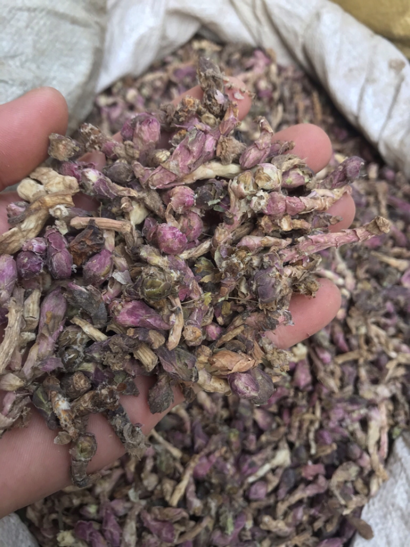 款冬花无硫无杂质优选款冬花产地直销