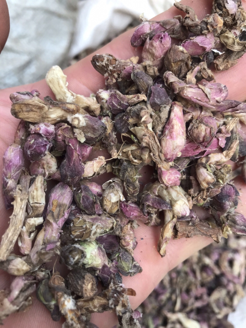 款冬花无硫无杂质优选款冬花产地直销