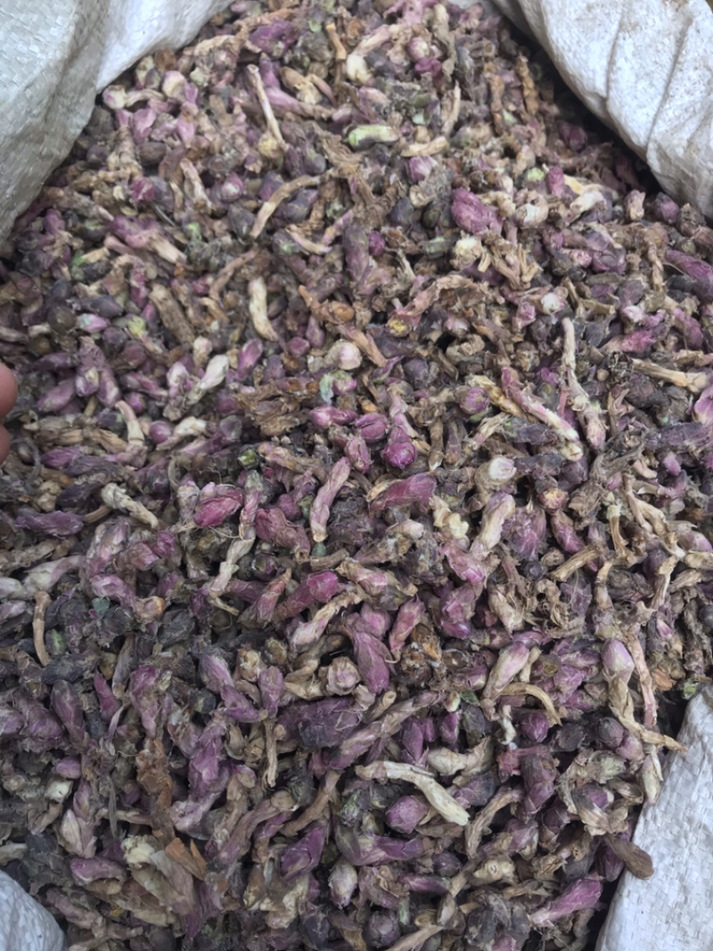 款冬花无硫无杂质优选款冬花产地直销