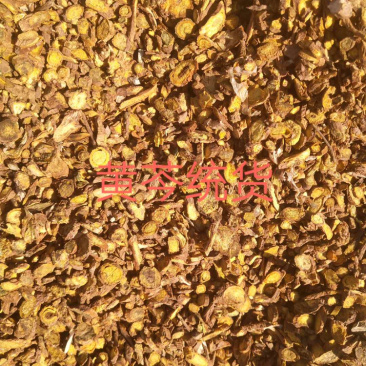 黄芩无硫黄芩产地直销量大从优