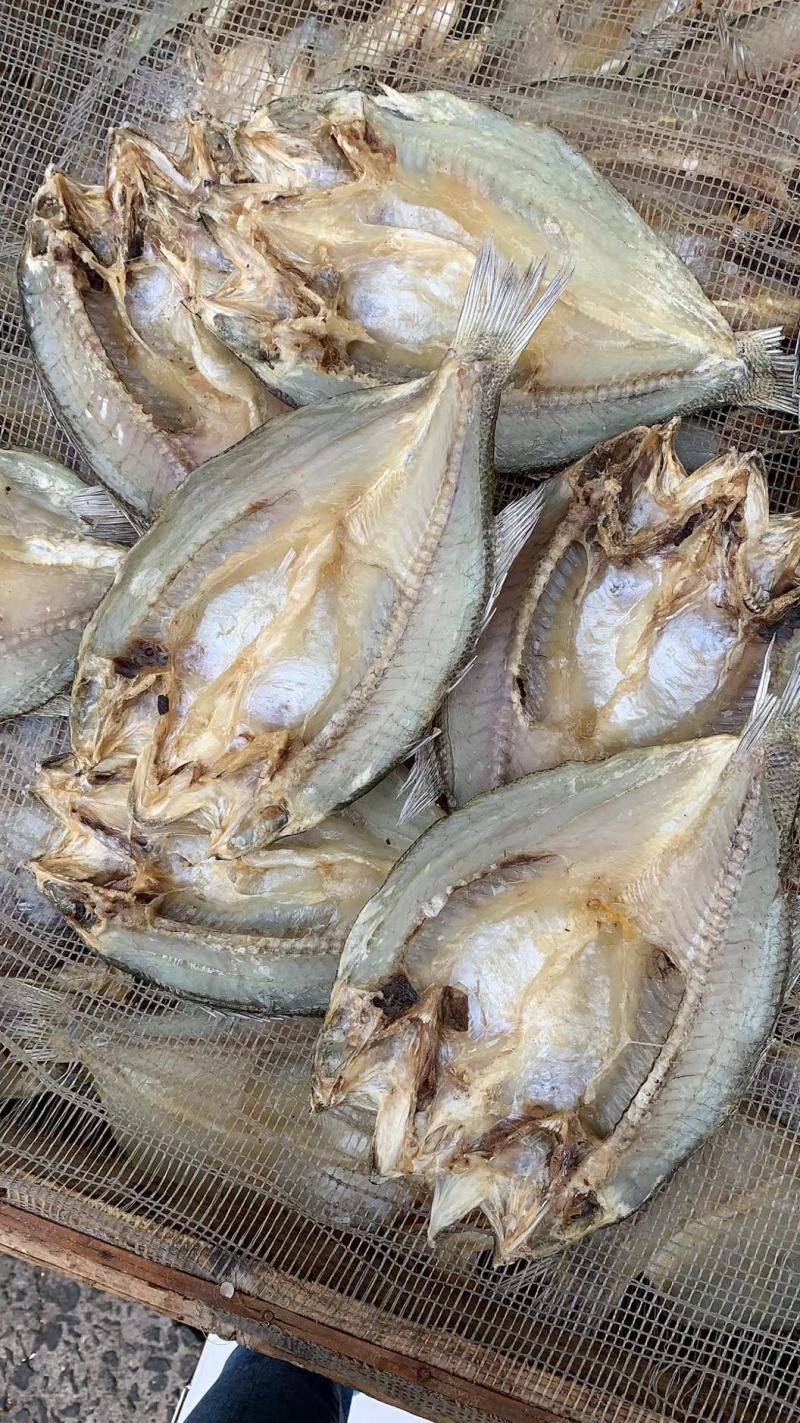 淡干鲈鱼片，色香味俱全