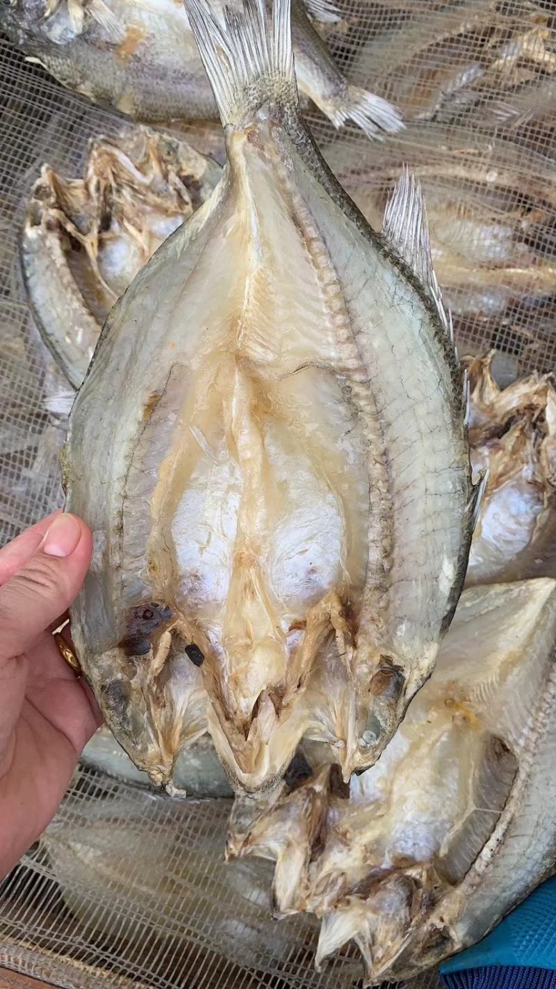 淡干鲈鱼片，色香味俱全