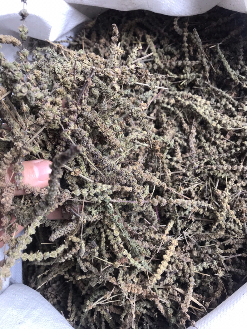 荆芥穗干净吸尘无杂质产地直销