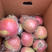 苹果精品红富士，大量供货，产地直供，火热购销中！
