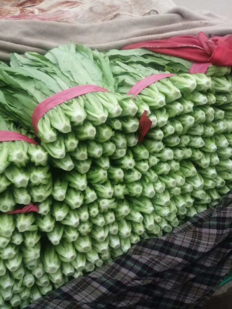 精品本地油麦量大，量大价优