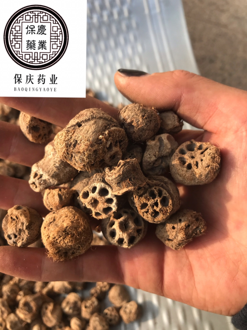 藕节保庆药业批发藕节实物拍摄中药材藕节干藕节