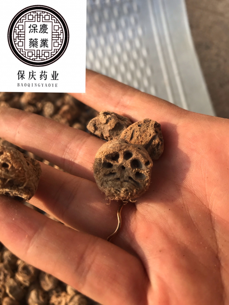 藕节保庆药业批发藕节实物拍摄中药材藕节干藕节
