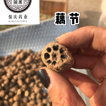 藕节保庆药业批发藕节实物拍摄中药材藕节干藕节