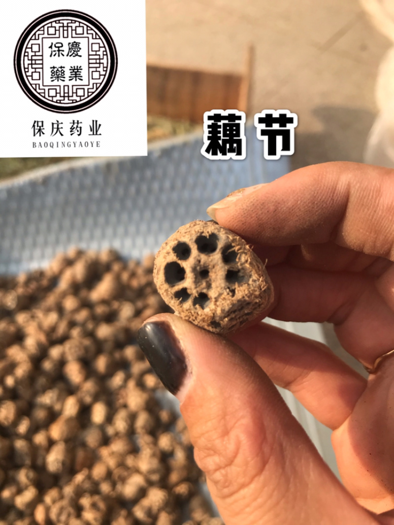 藕节保庆药业批发藕节实物拍摄中药材藕节干藕节