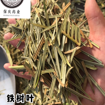 铁树叶苏铁叶保庆药业批发中药材铁树叶实物拍摄！
