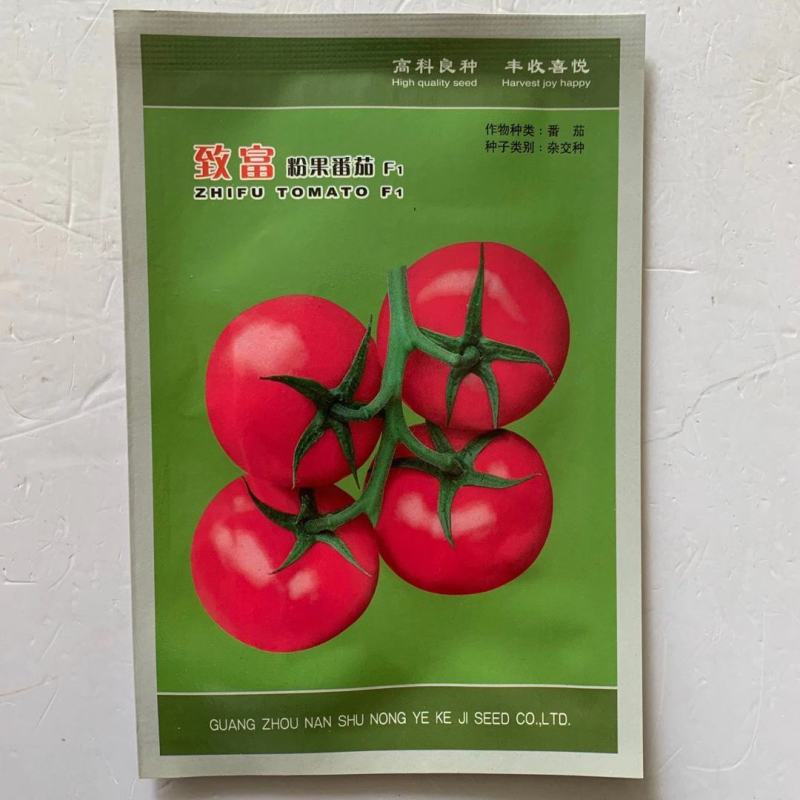 粉皇西红种子品种硬粉耐运输品种品种齐全