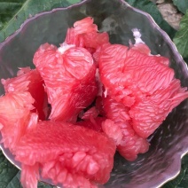 基地直供，一手货源，品质保证