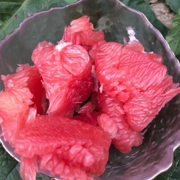 基地直供，一手货源，品质保证