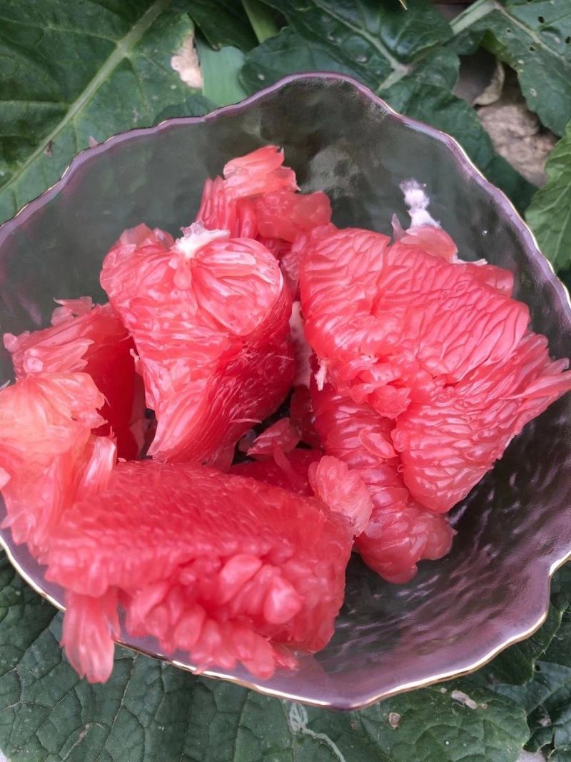 基地直供，一手货源，品质保证