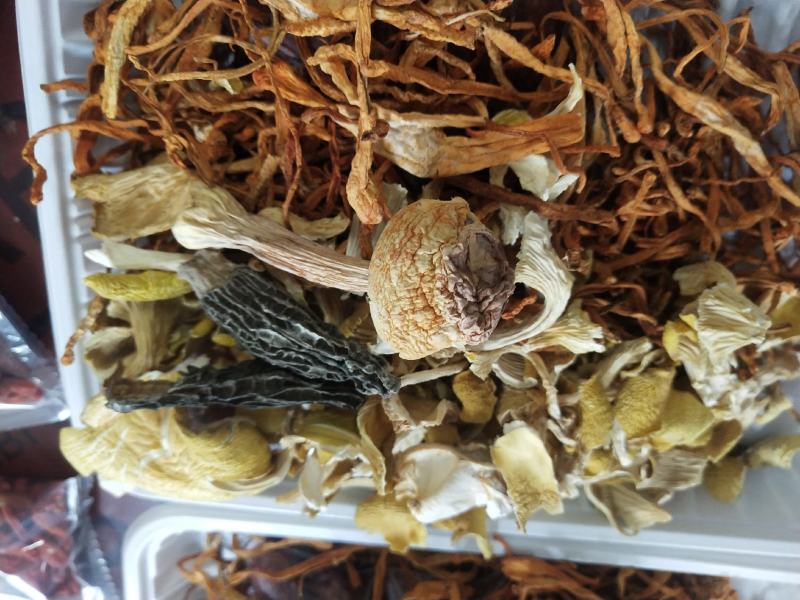 七彩菌汤包优质汤包品质保证云南特产品质保证