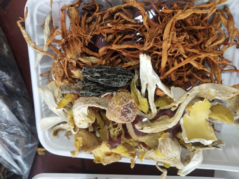 七彩菌汤包优质汤包品质保证云南特产品质保证