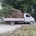 【信誉商家】棒棒桂花质量保证成活率高量大视频看货