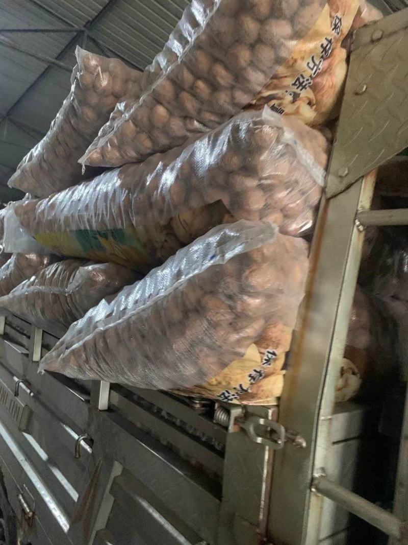 核桃新疆纸皮核桃2020年新货一件代发全国发货一手货源