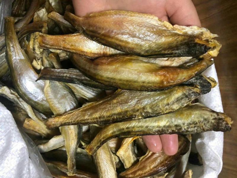 深海小龙鱼干雷鱼干纯干货地摊展会跑跑江湖新产品