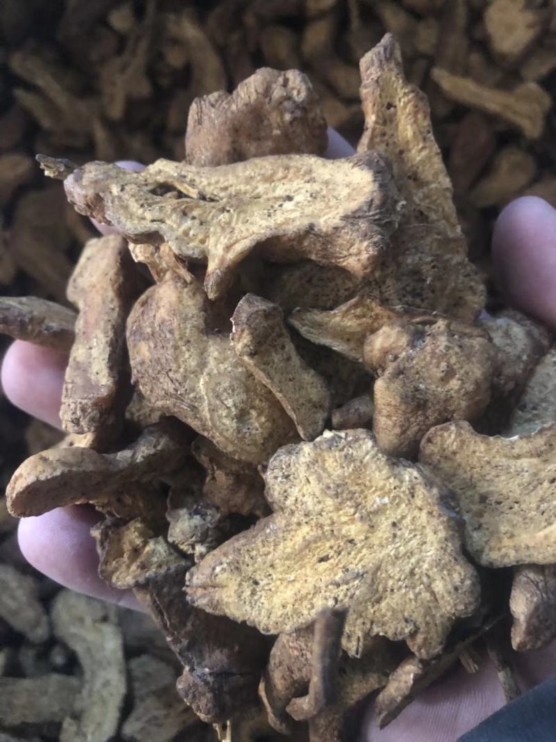 白术白术片生白术炒白术