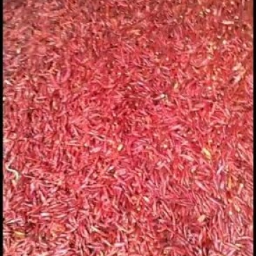 河南开封辣椒总产区，商超**，产地直发。