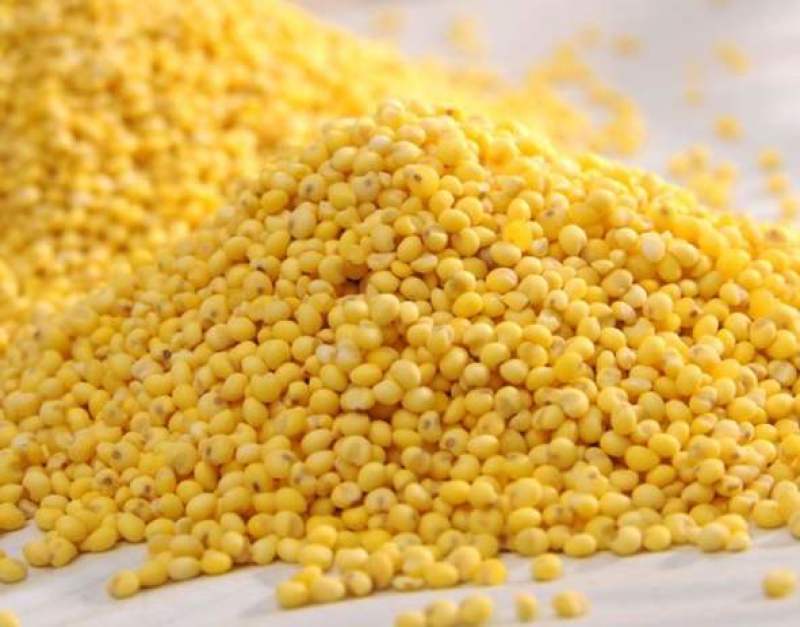 22年红黍子大黄米粘米批发包粽子粘豆包糯黄米汤圆