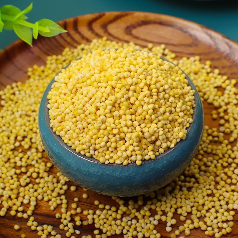 22年红黍子大黄米粘米批发包粽子粘豆包糯黄米汤圆