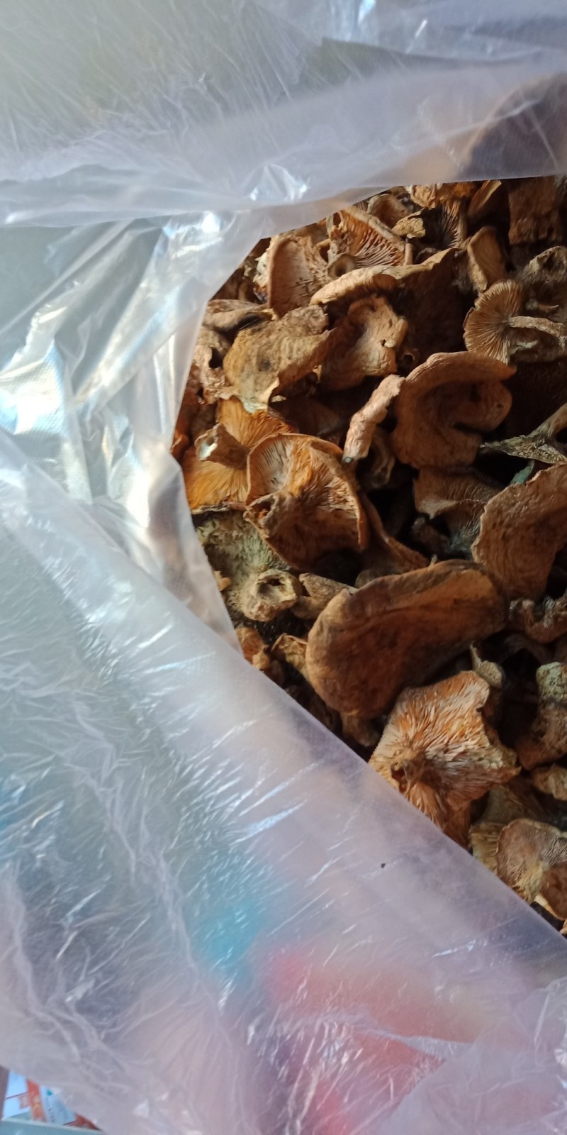 烘干松蘑干货大量供应，