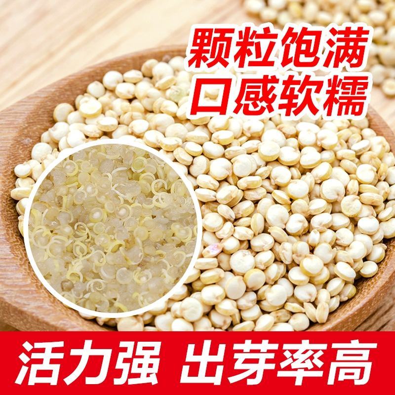 粮食之母，贵族营养藜麦