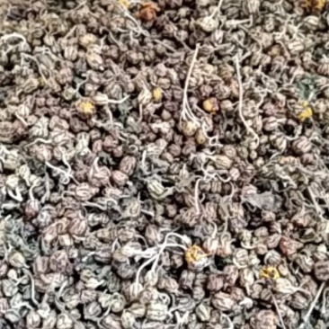 野菊花河南信陽野菊花大別山特產幹度好今年新貨