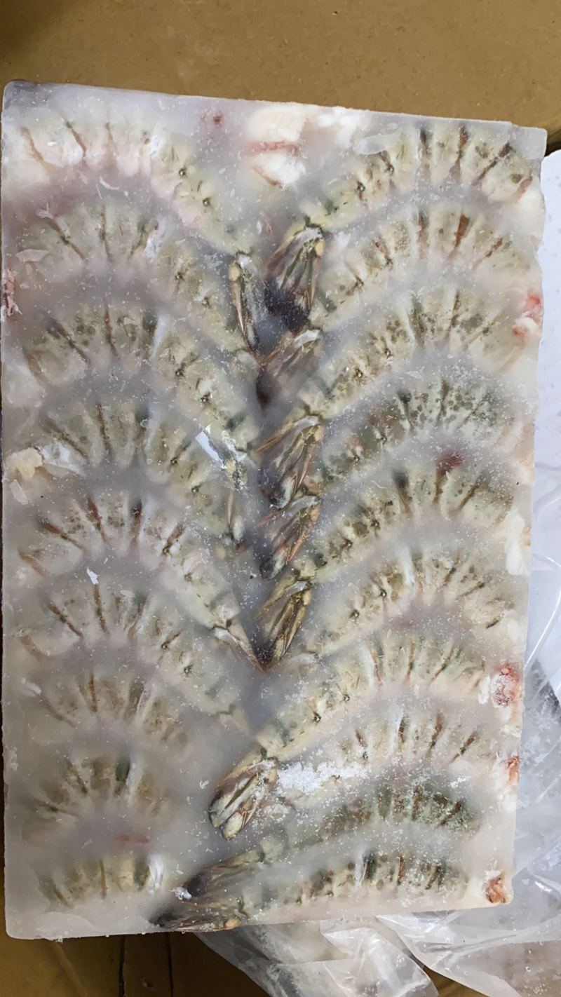 去头草虾黑虎虾规格6/8-31/40毛重30斤净重21斤