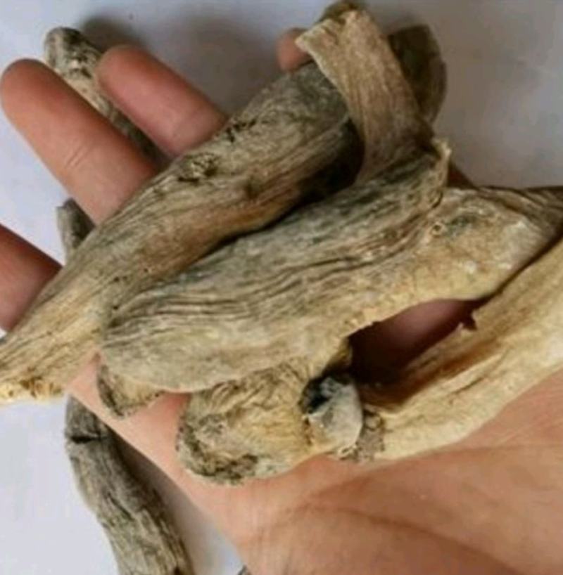 芭蕉根,产地直供，质优价实，品质保证，药典标准道地良药