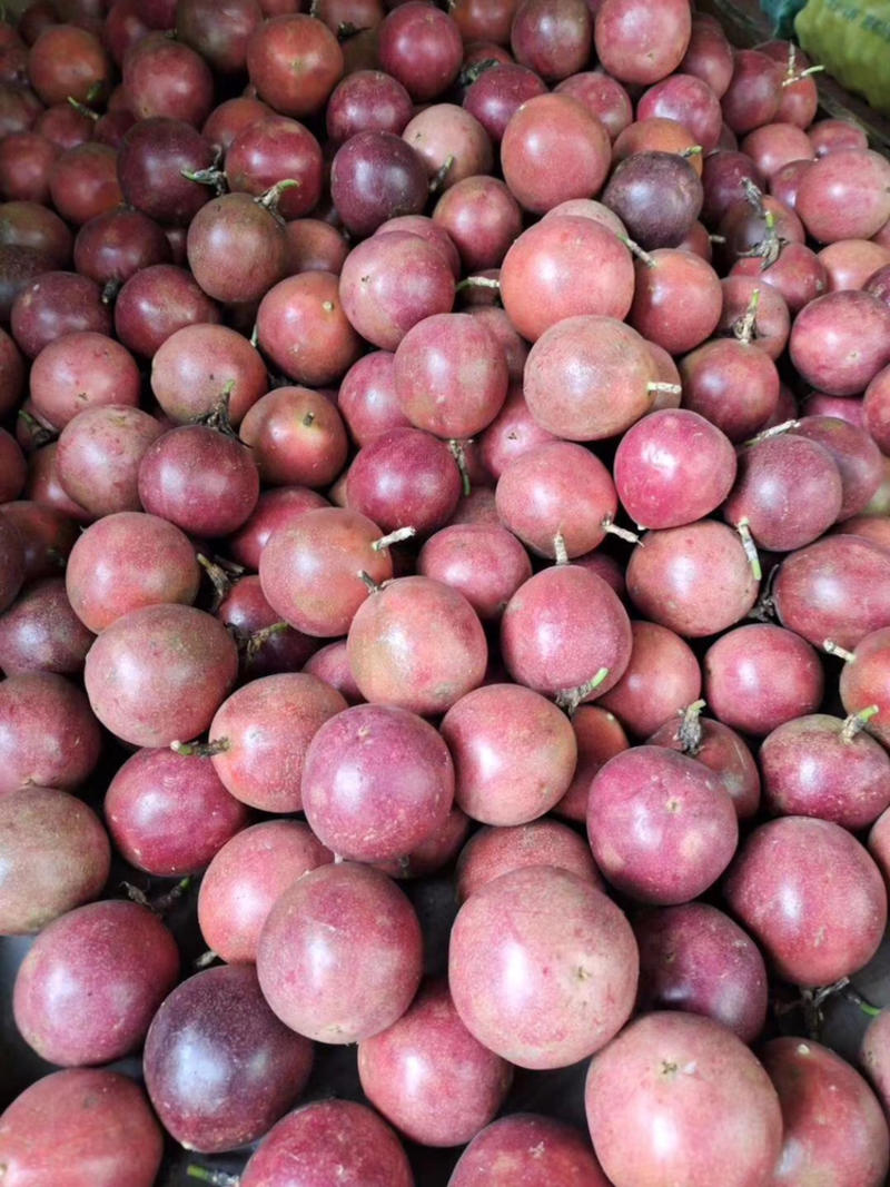 广西百香果紫香台农纯甜精品果中大果通货中小果次果