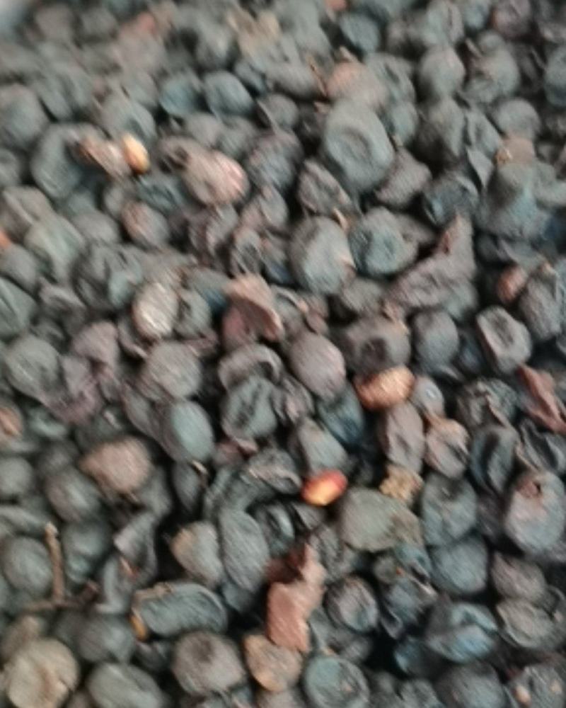 包邮广西山黄皮干精品，统货各规齐全批零兼营，质优价美