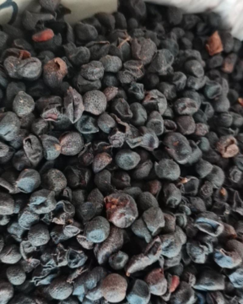 包邮广西山黄皮干精品，统货各规齐全批零兼营，质优价美