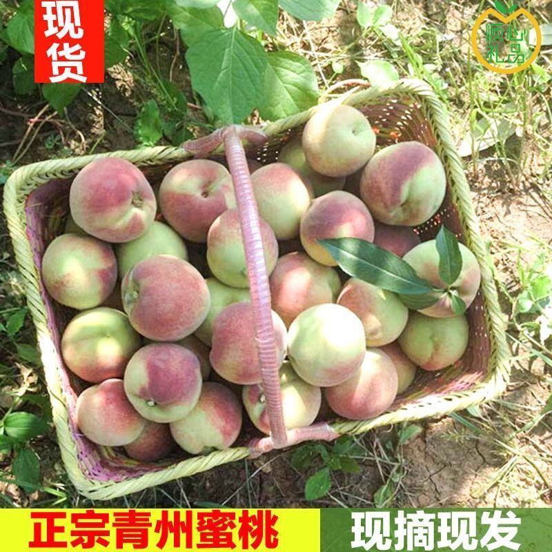 青州蜜桃新鲜水果批发应季桃子脆桃毛桃冬雪蜜桃