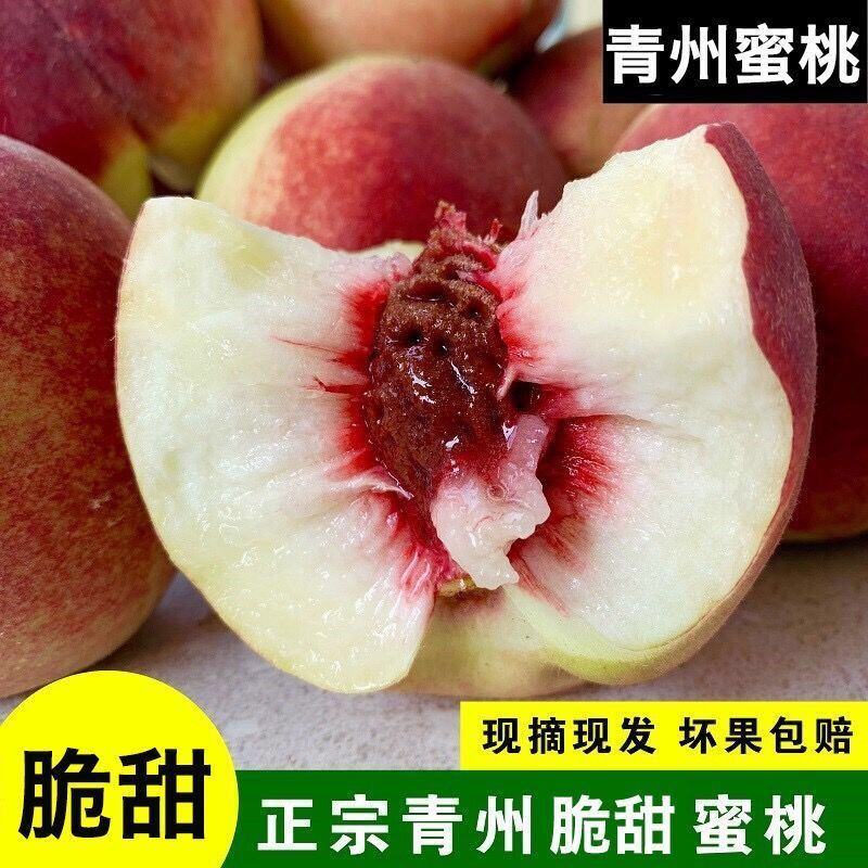 青州蜜桃新鲜水果批发应季桃子脆桃毛桃冬雪蜜桃