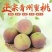 青州蜜桃新鲜水果批发应季桃子脆桃毛桃冬雪蜜桃