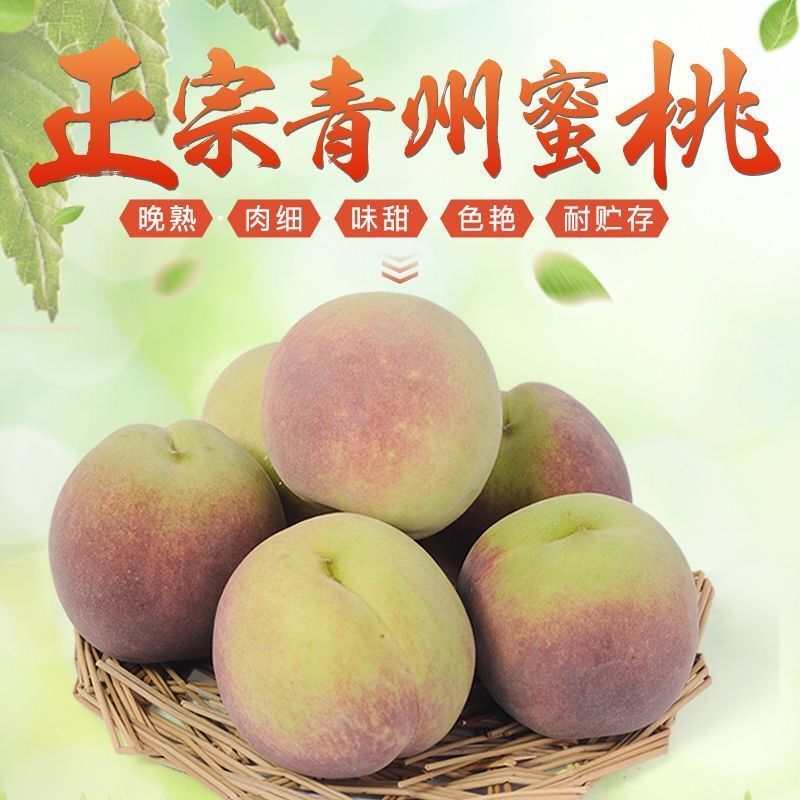 青州蜜桃新鲜水果批发应季桃子脆桃毛桃冬雪蜜桃