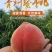 青州蜜桃新鲜水果批发应季桃子脆桃毛桃冬雪蜜桃