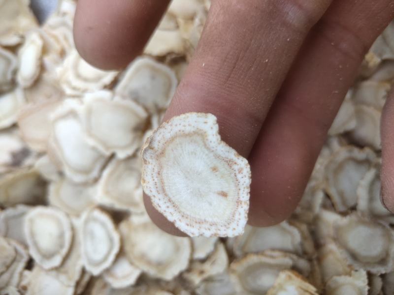 西洋参1.8/2.0的片少许黑片关书药业批发