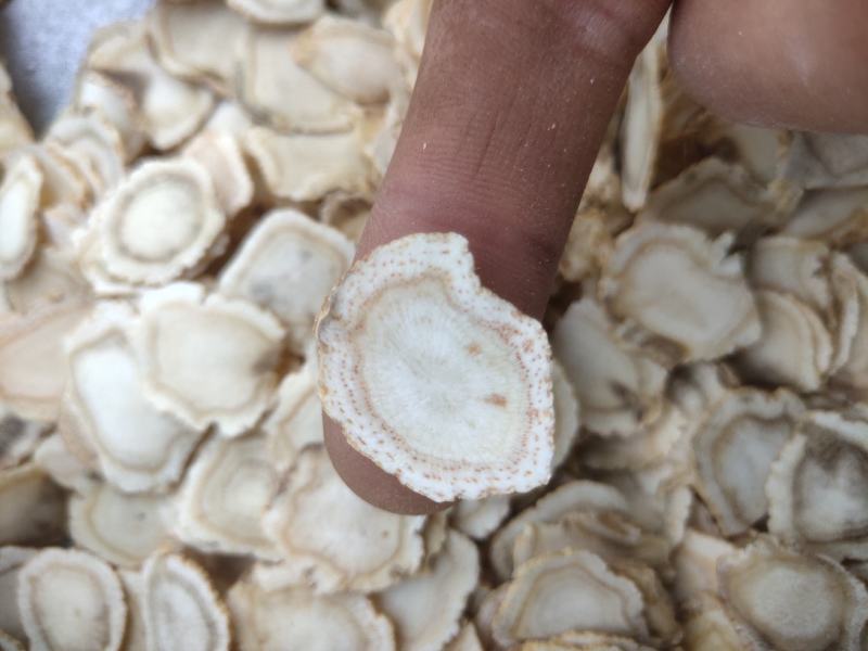 西洋参1.8/2.0的片少许黑片关书药业批发