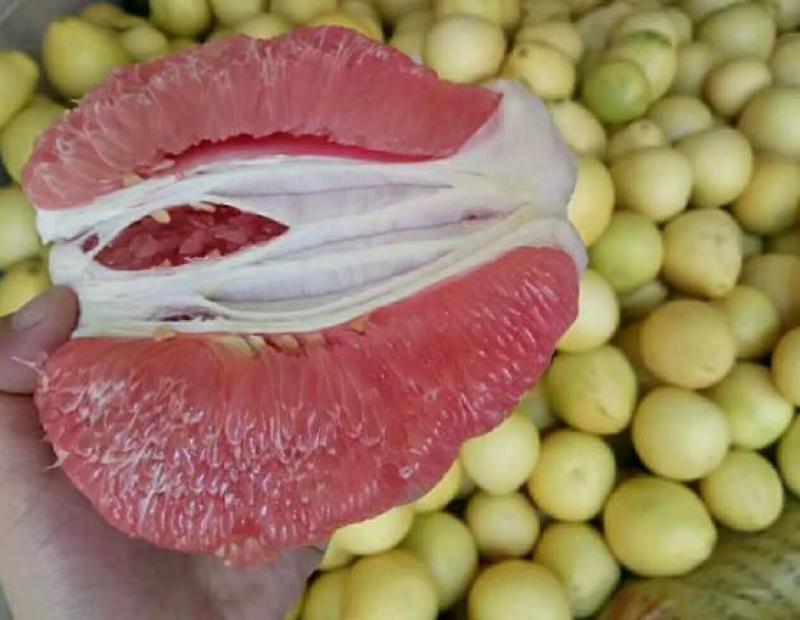 【热卖】漳州平和红心蜜柚大量低价批发，皮薄肉红，香甜可口