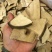 通花根,产地直供,质优价实,品质保证,药典标准道地良药
