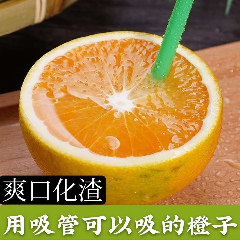 九月红脐橙爱媛果冻橙橙子支持电商团购商超批发