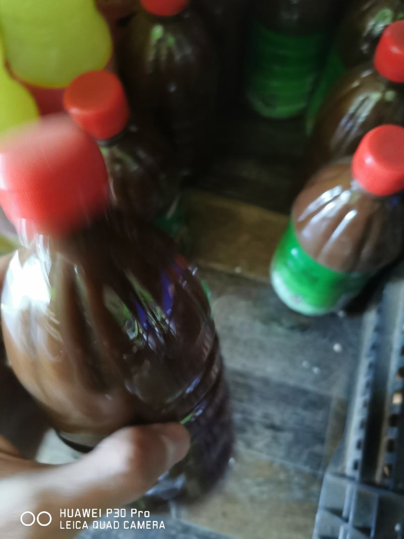 云南德宏特色酸菜膏，芒市特色，沾水必备凉菜中的好调料。