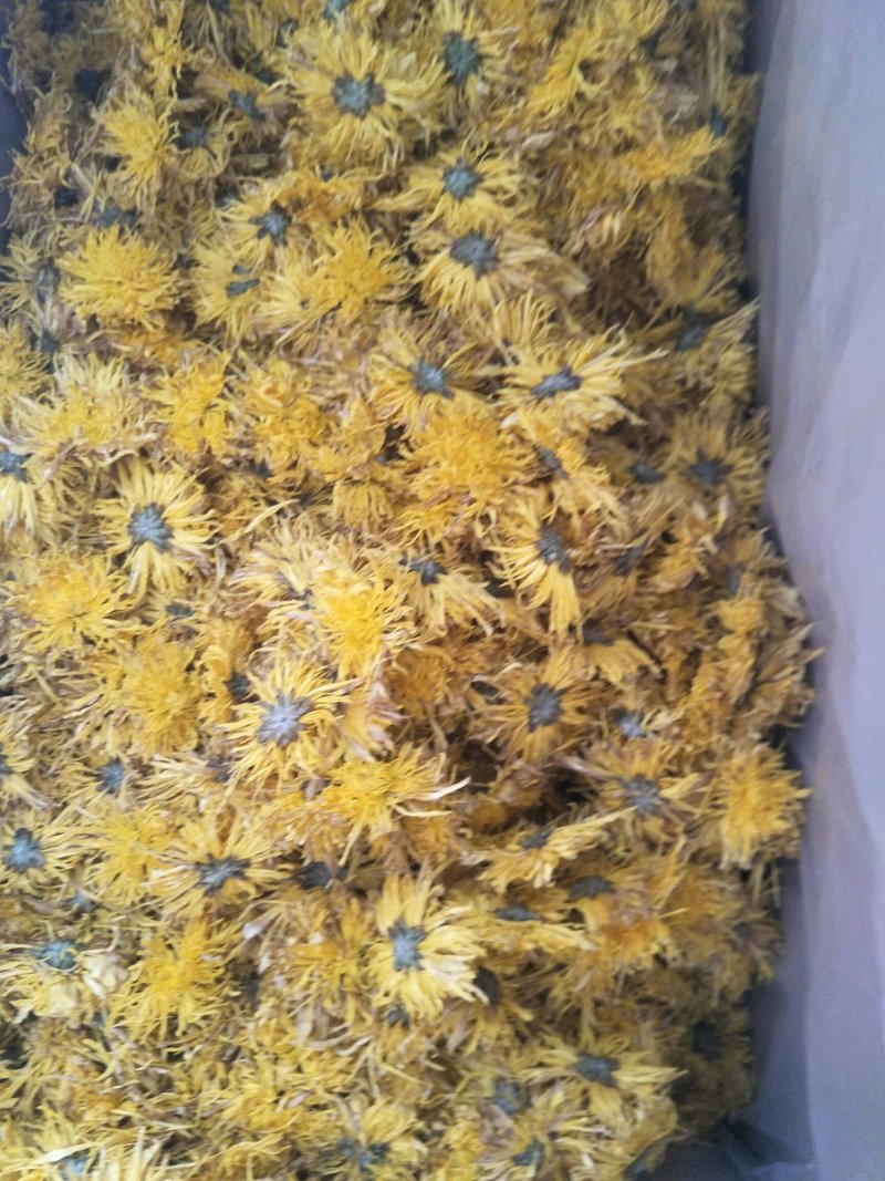 金丝菊花