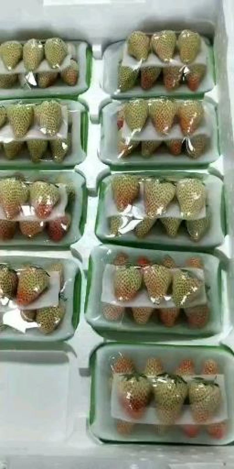 辽宁丹东九九草莓，微商，商超，市场，烘焙，代办代包装